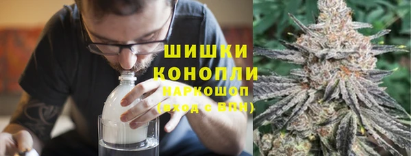 молекула духа Елизово