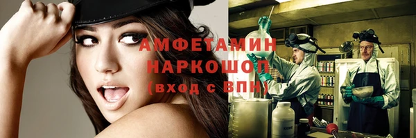 молекула духа Елизово