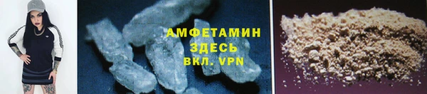 молекула духа Елизово