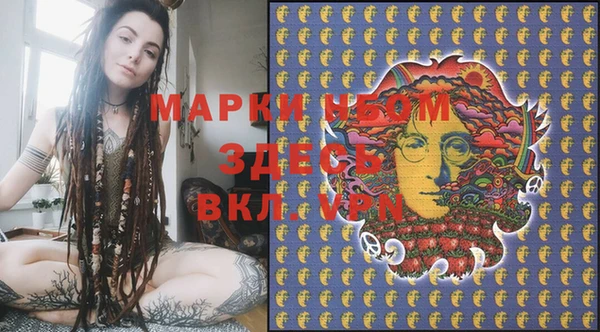 молекула духа Елизово