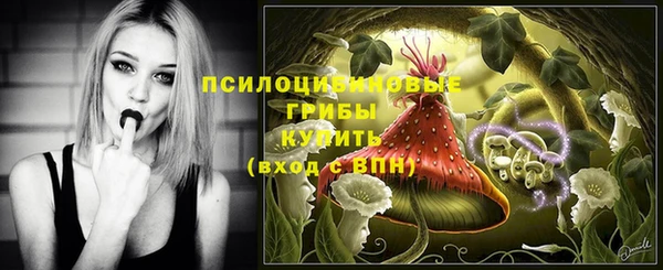 прущий лед Елабуга