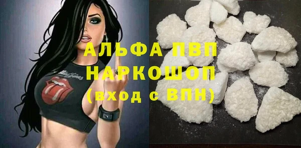 молекула духа Елизово