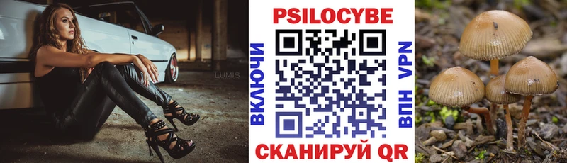 Галлюциногенные грибы MAGIC MUSHROOMS  Купить закладки  Плёс 